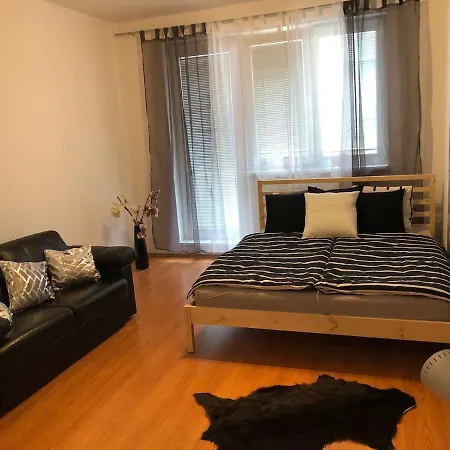 Apartman Slovan 公寓 *