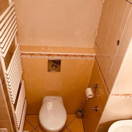 Apartman Slovan 公寓 *