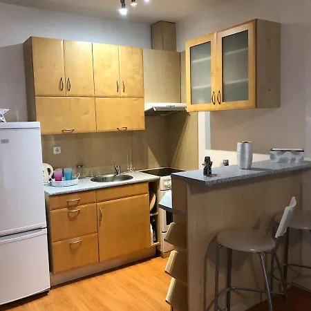 Apartman Slovan * 布尔诺